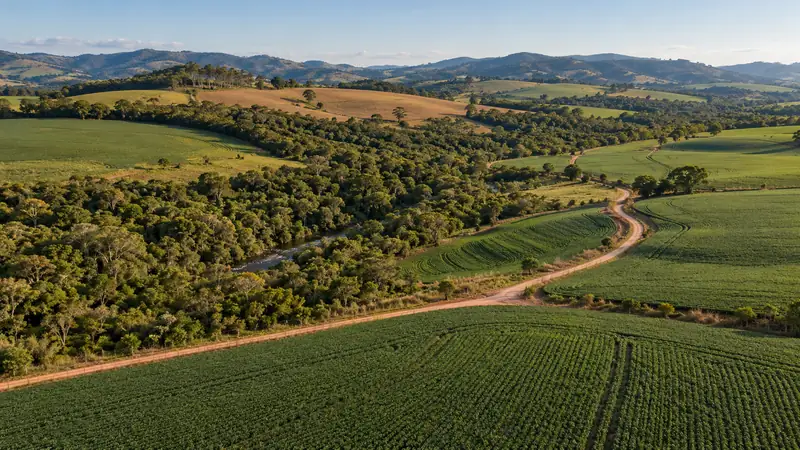 Vista aérea ilustrativa de campos, estrada rural e vegetação nativa