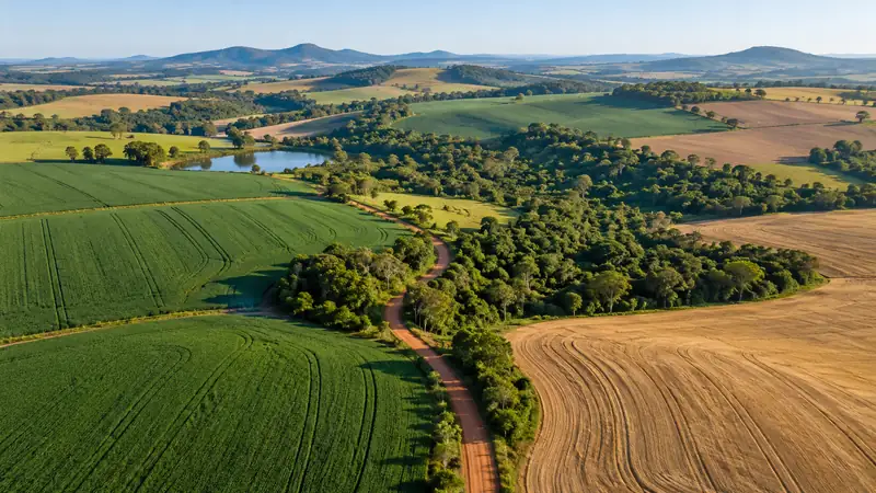 Vista aérea ilustrativa de lavouras, mata nativa e estrada de terra em uma propriedade rural